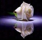 Kathleen (Kay) Whelan (née Townsend)