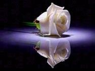 Kathleen (Kay) Whelan (née Townsend)