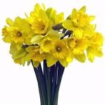 Violet Wilson (née Waller)