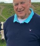 Timothy (Tadhg) Walshe